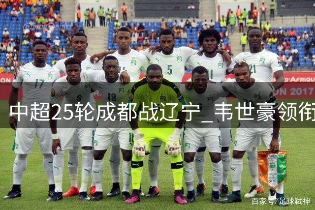 中超25轮成都战辽宁 韦世豪领衔三外援首发对决